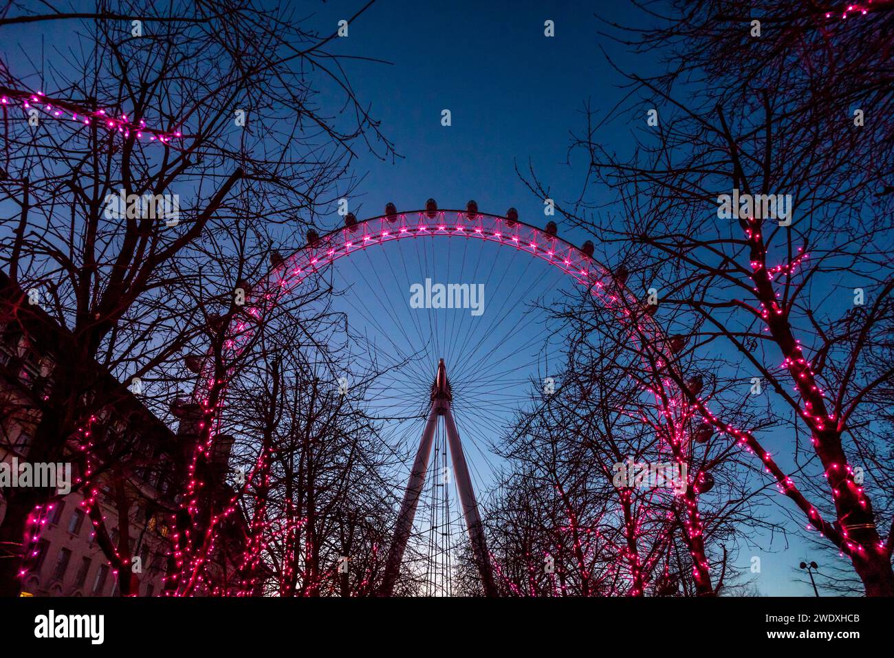 View of the London Eye lluminated at night, London, England, UK Stock Photo