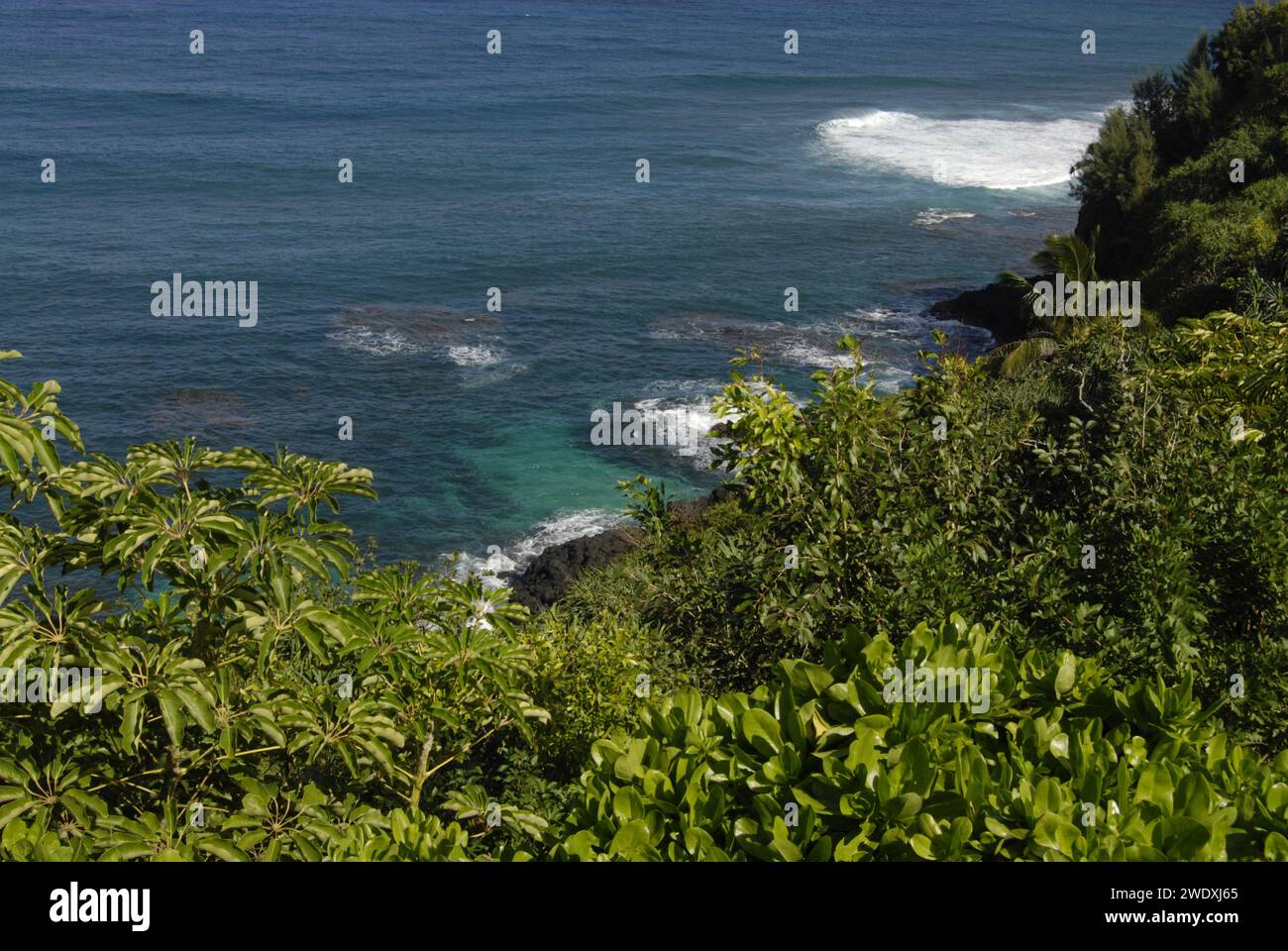 KAUAI ISLAND / HAWAII /USA Mainland vacationers walking and enjoying