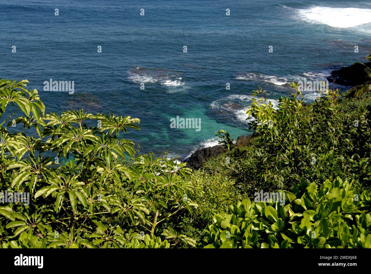 KAUAI ISLAND / HAWAII /USA Mainland vacationers walking and enjoying