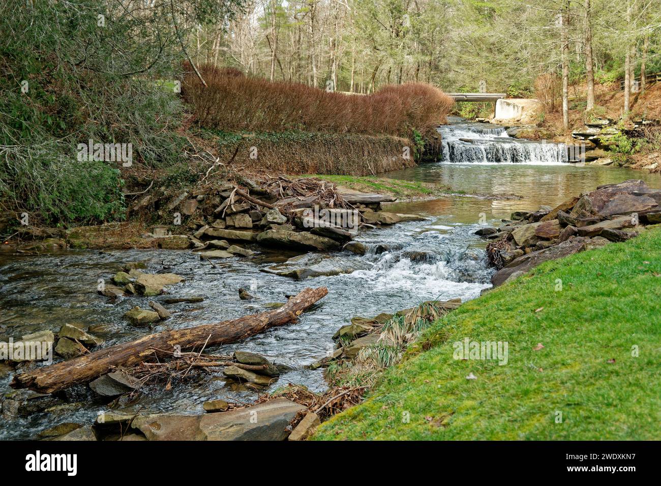 A creek with a small waterfall cascading down the boulders by a fallen log with a larger waterfall spilling into a pool of water in the background in Stock Photo