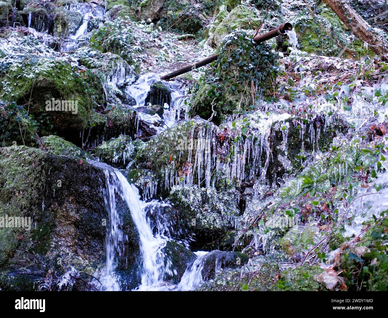 Snow-covered trees and plants encircle a picturesque forest waterfall Stock Photo