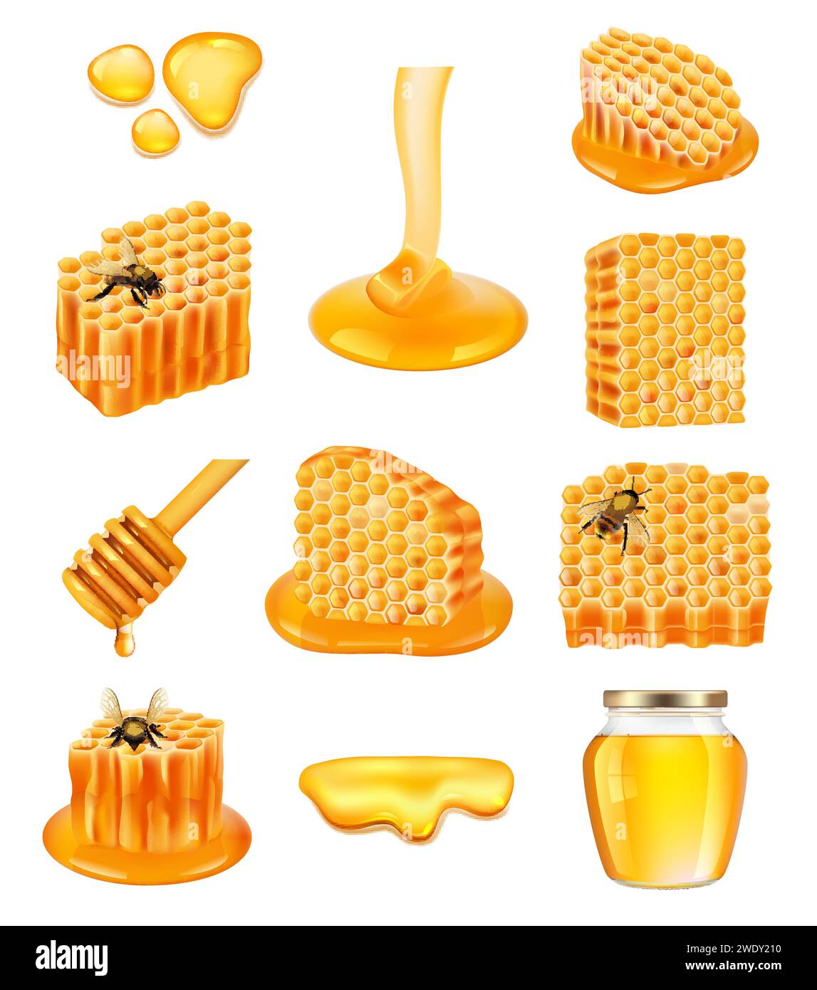 Realistic Bee wax cells with healthy sugar nutrients decent vector pictures