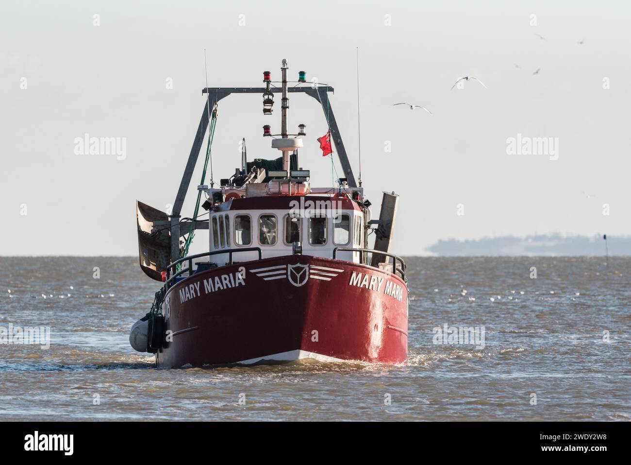 Cockle boat Mary Maria coming in to Leigh on Sea, Essex Stock Photo