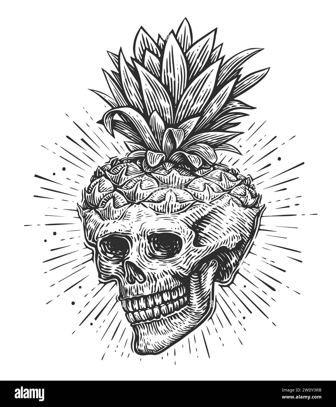 Human skull. Hand drawn creative skeleton. Sketch vintage vector illustration Stock Vector