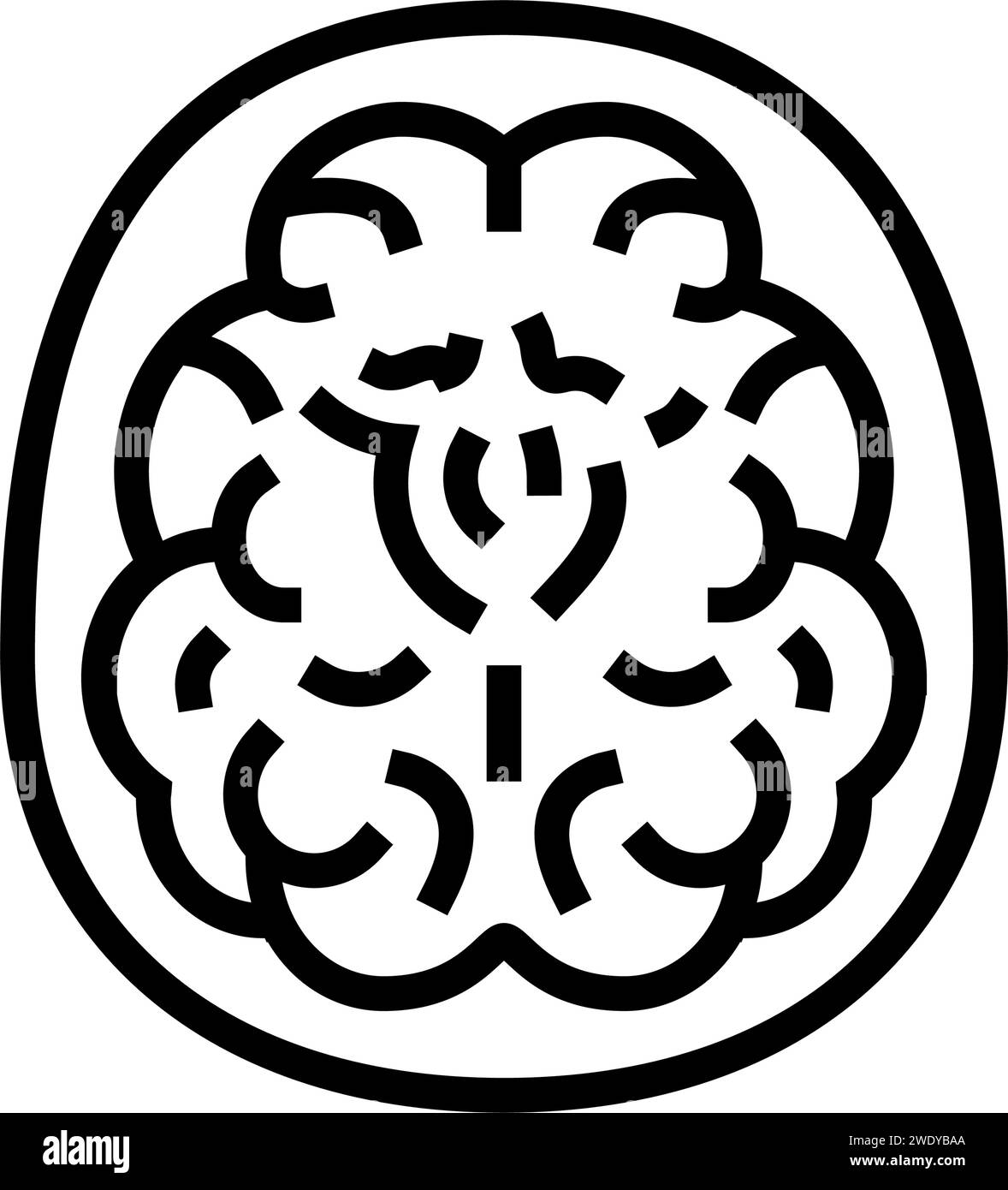 neuroimaging neuroscience neurology line icon vector illustration Stock ...