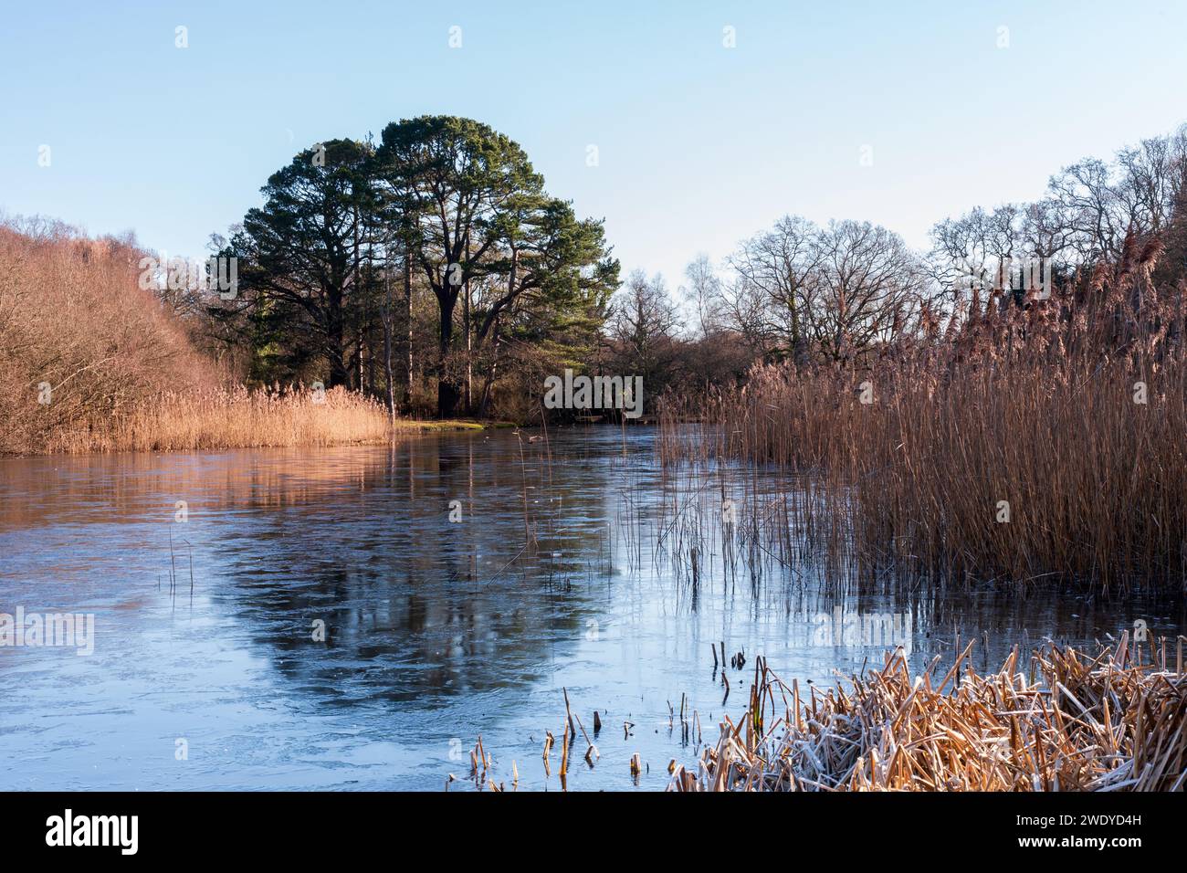 Frozen Ornamental Lake (Fishing Lake) at Southampton Common Stock Photo Alamy