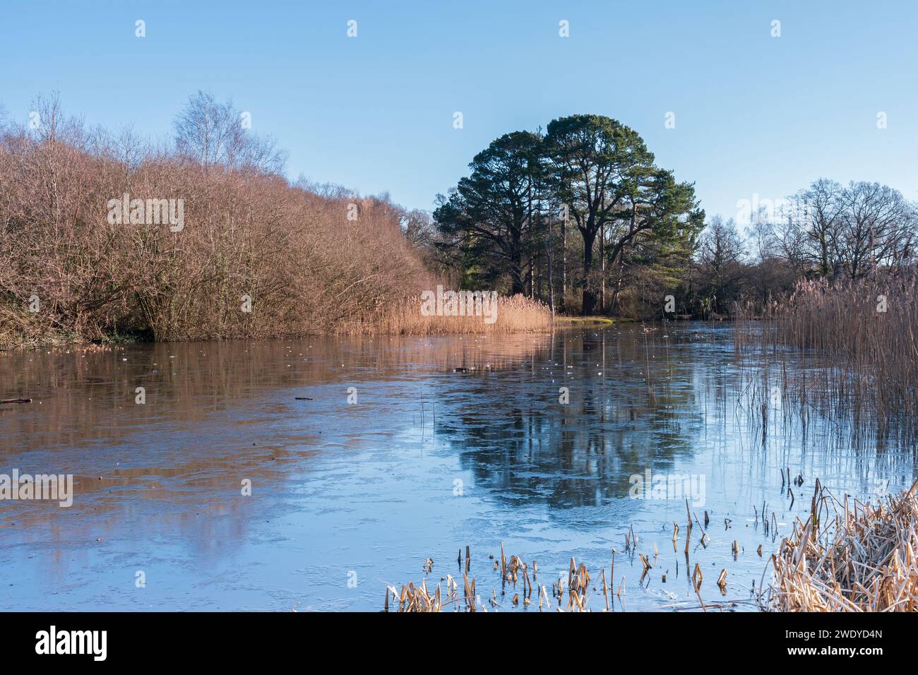 Frozen Ornamental Lake (Fishing Lake) at Southampton Common Stock Photo