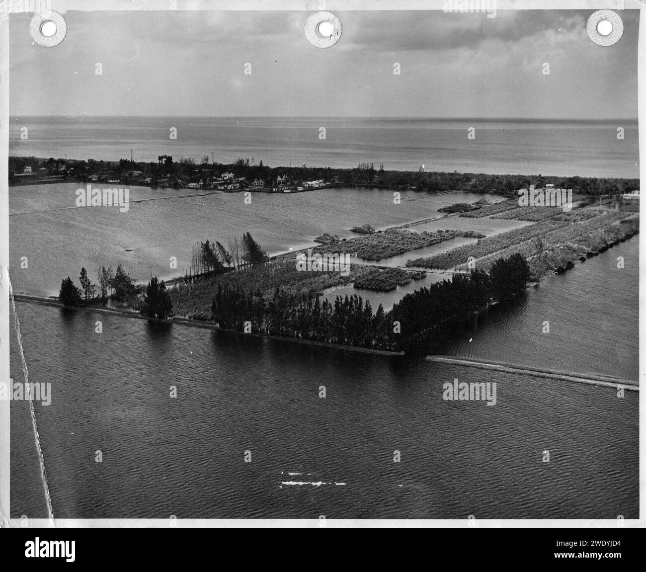 Aerial view of USDA Sugarcane Experiment Station, October 6, 1947. Stock Photo