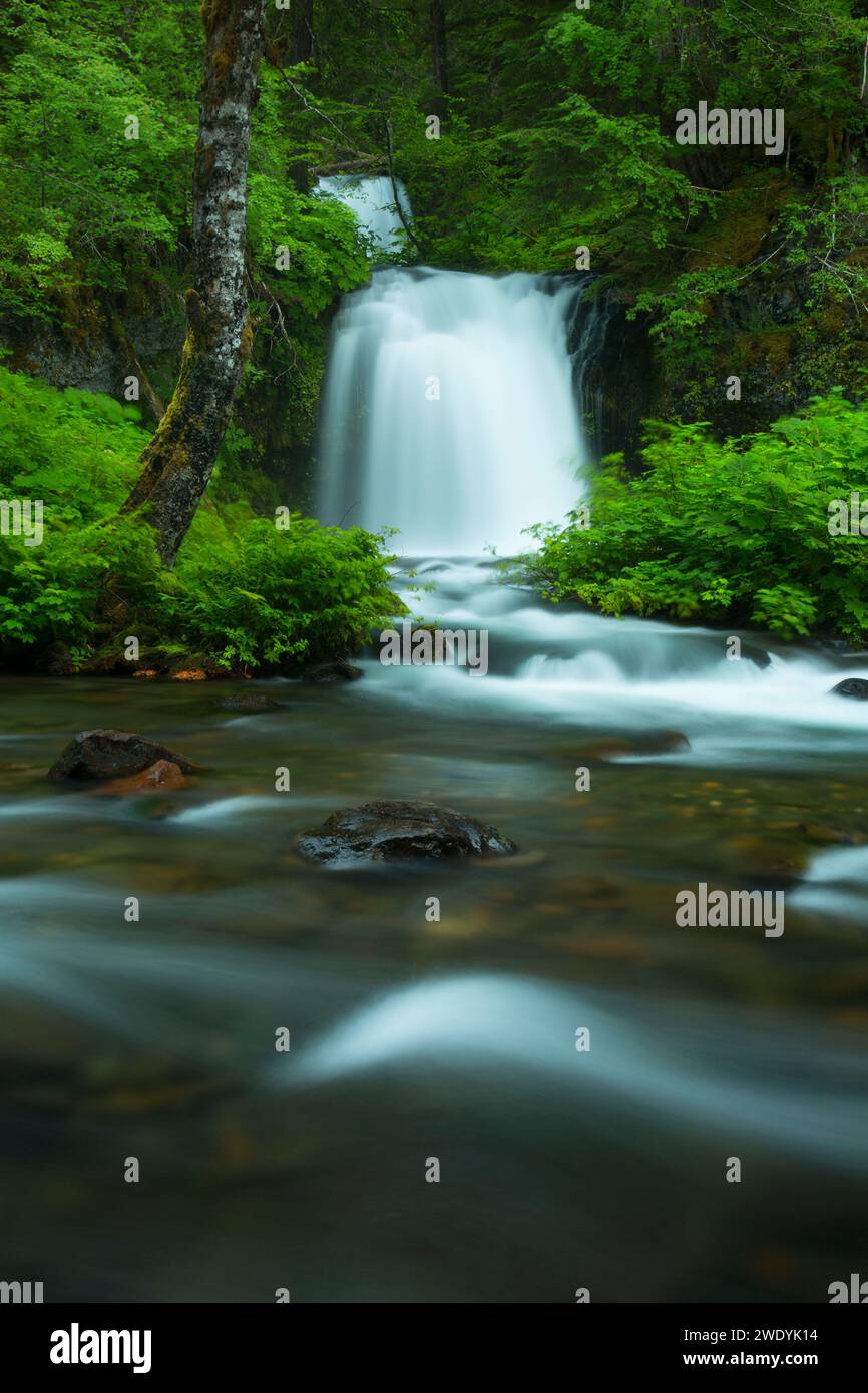 Twin Falls, Gifford Pinchot National Forest, Washington Stock Photo Alamy