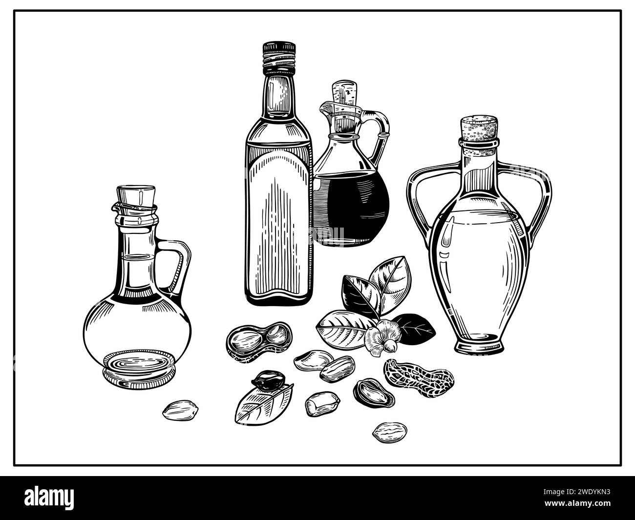 Composition with oil bottles and a sprig of peanuts with leaves and a flower, peanut nuts. Stock Vector