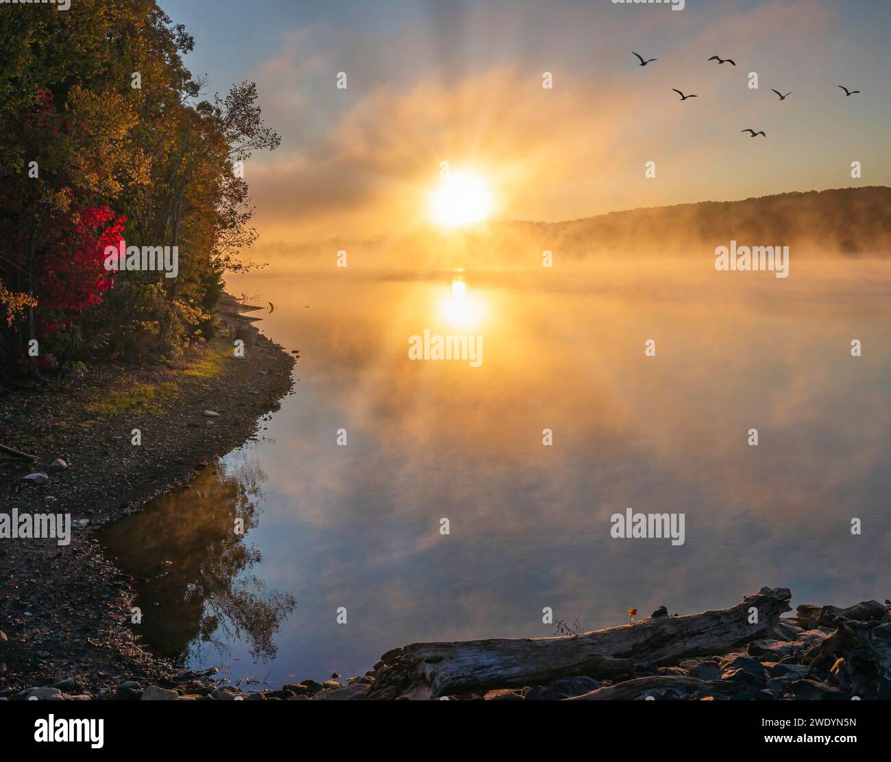 Sunrise, Barkley Lake, Kentucky Stock Photo Alamy