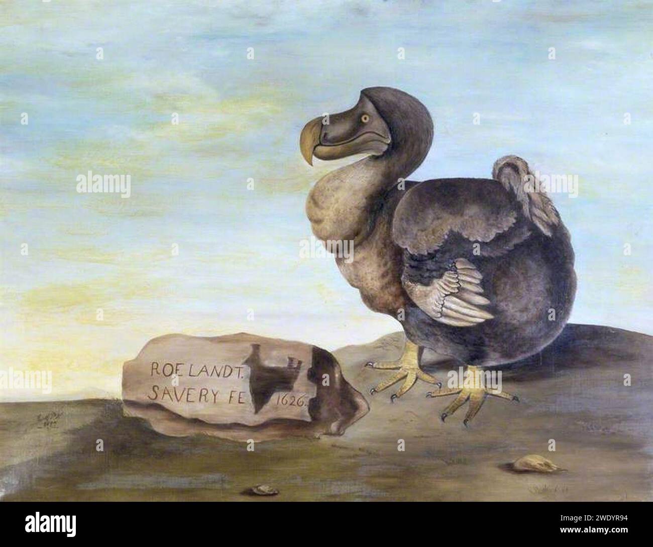 Roelant savery dodo hi-res stock photography and images - Alamy