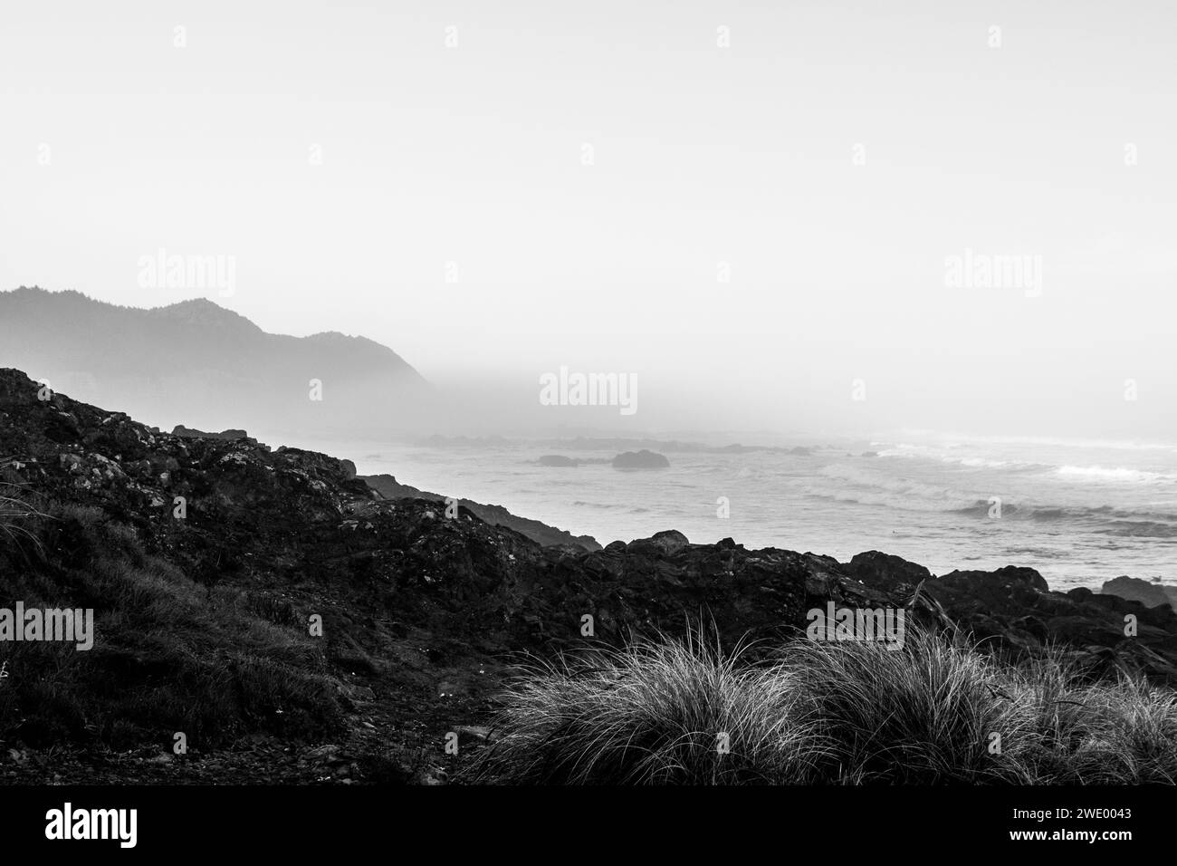 Fogy Oregon beach, with rugged rocky coastline with hardy plants.  The waves are coming in during the early morning. Stock Photo