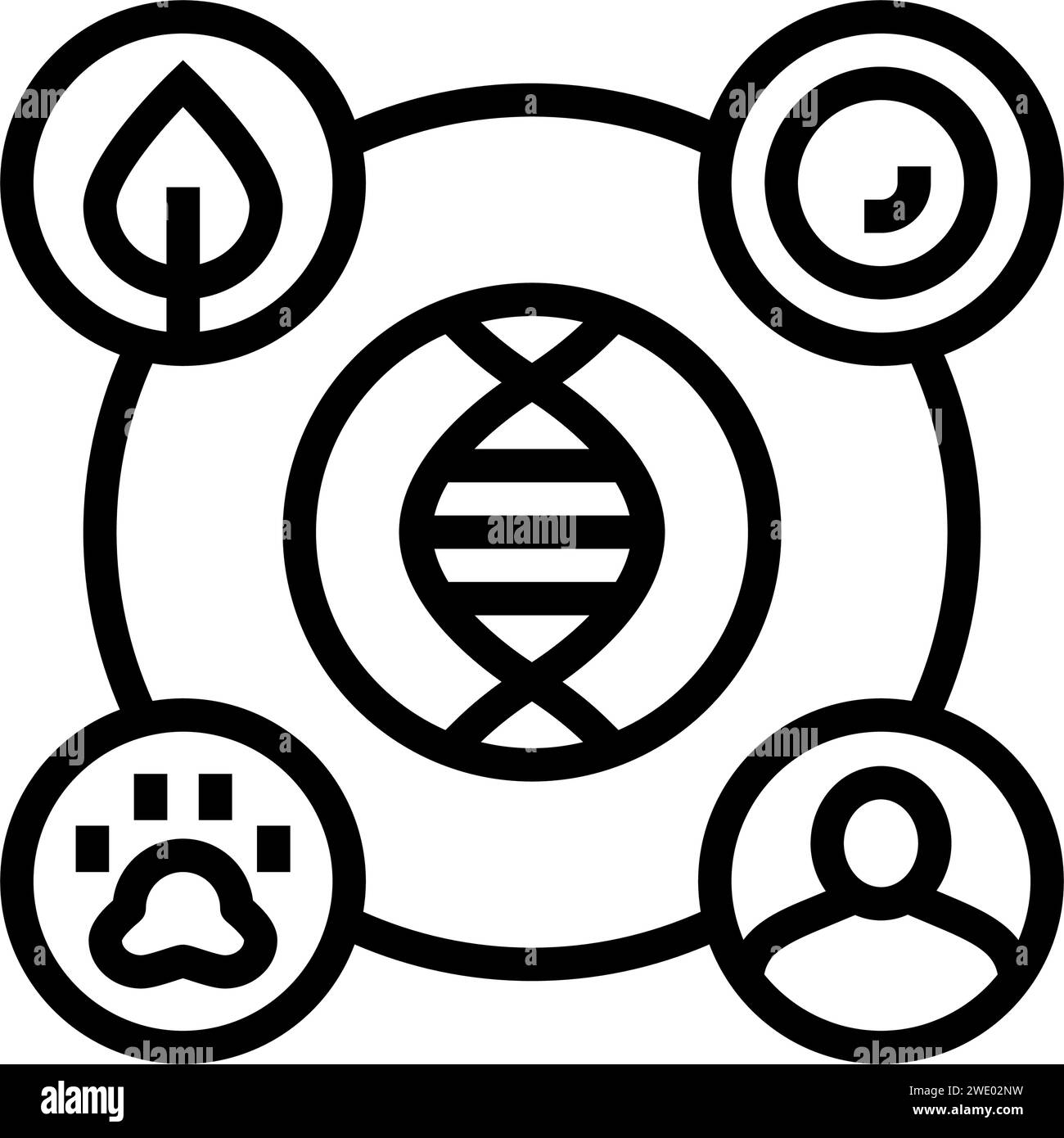 genetic diversity cryptogenetics line icon vector illustration Stock ...