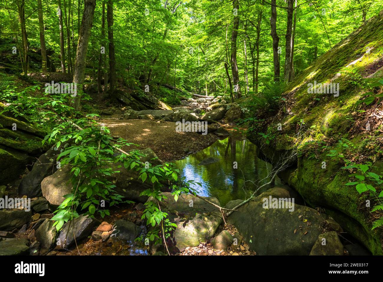 Creek in Shawnee National Forest, Illinois Stock Photo Alamy