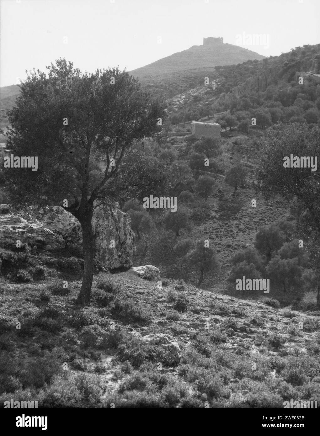 Ajlun District. Kalaat Er-Rabad. Distant view of Ajlun castle Stock ...