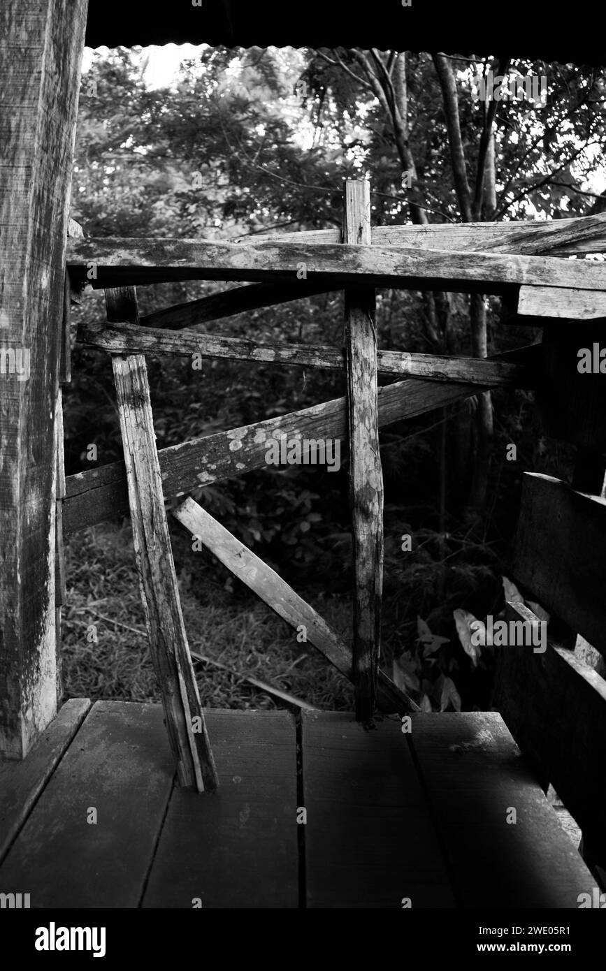 Amazon Black and White Stock Photos & Images Alamy