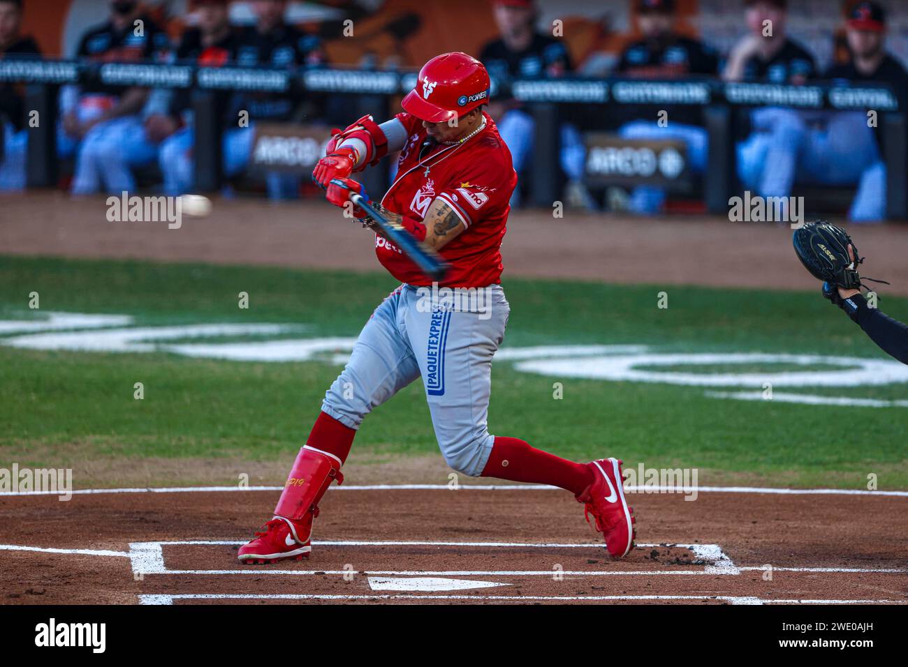 HERMOSILLO, MEXICO - JANUARY 21: Ramiro Peña of Venados tries to hit ...
