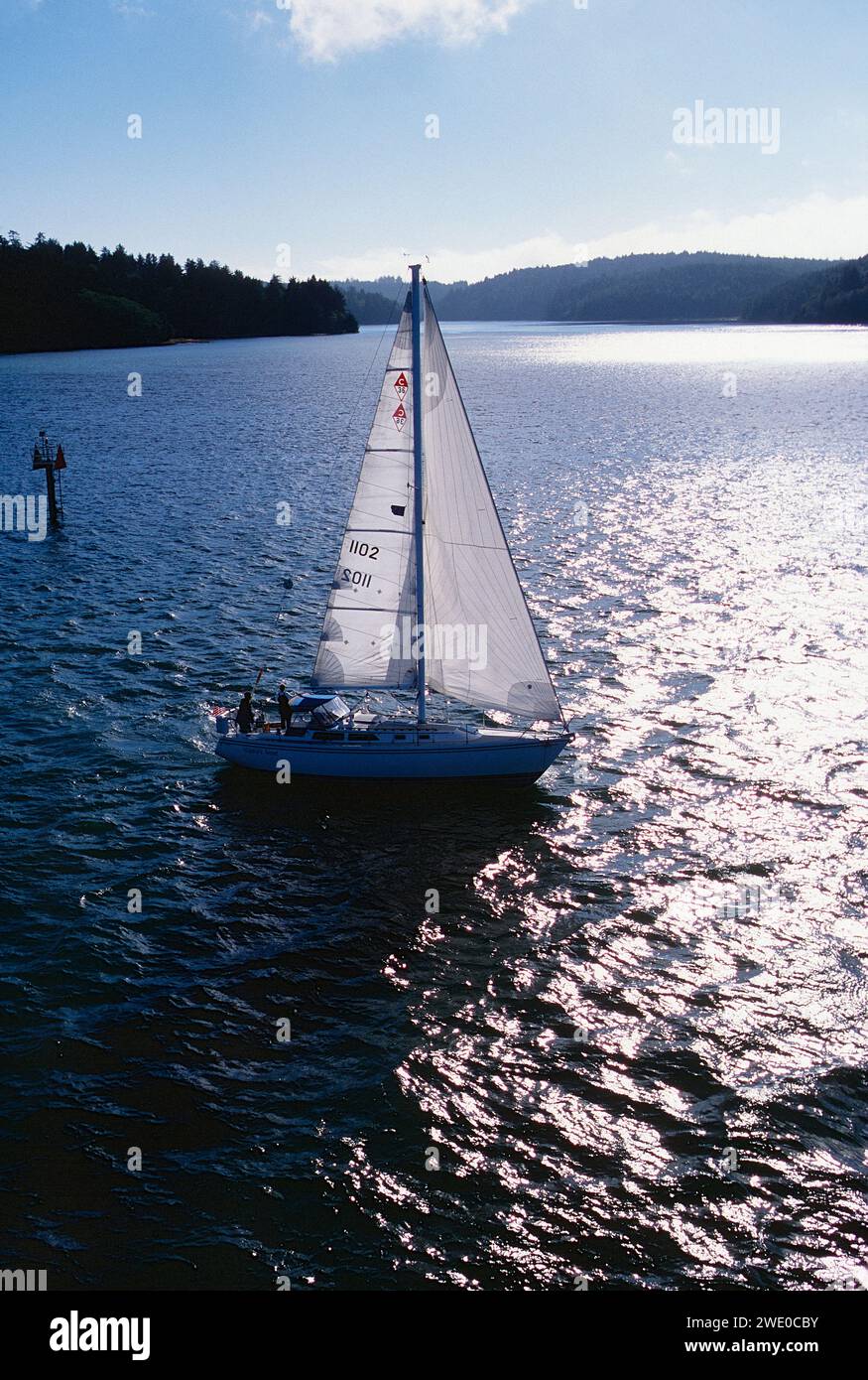 Sailing Regatta; Yaquina Bay Yacht Club; Yaquina Bay; Oregon; USA Stock Photo