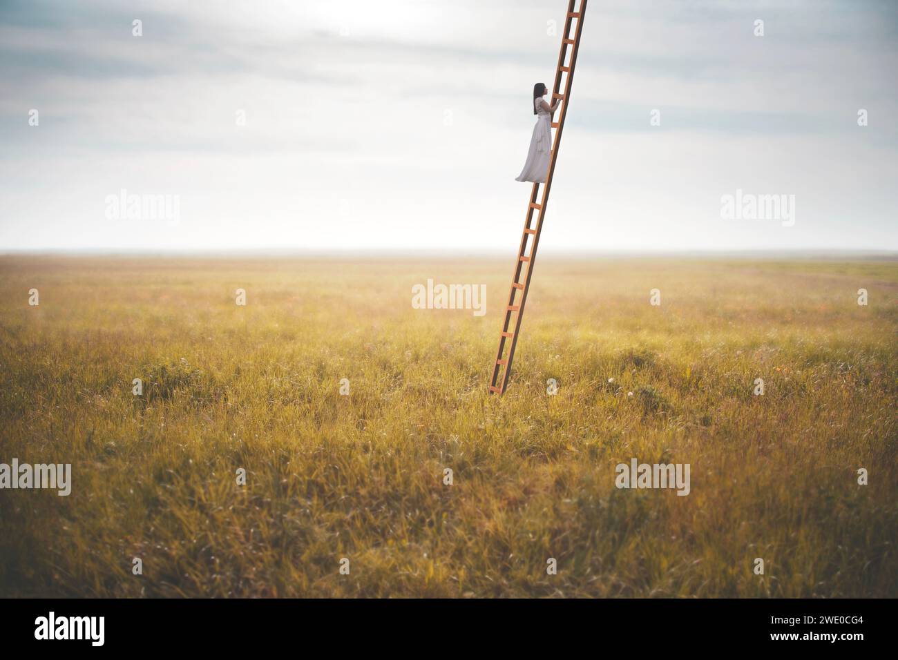 woman climbing a surreal ladder in the middle of a field reaching the sky, abstract concept Stock Photo