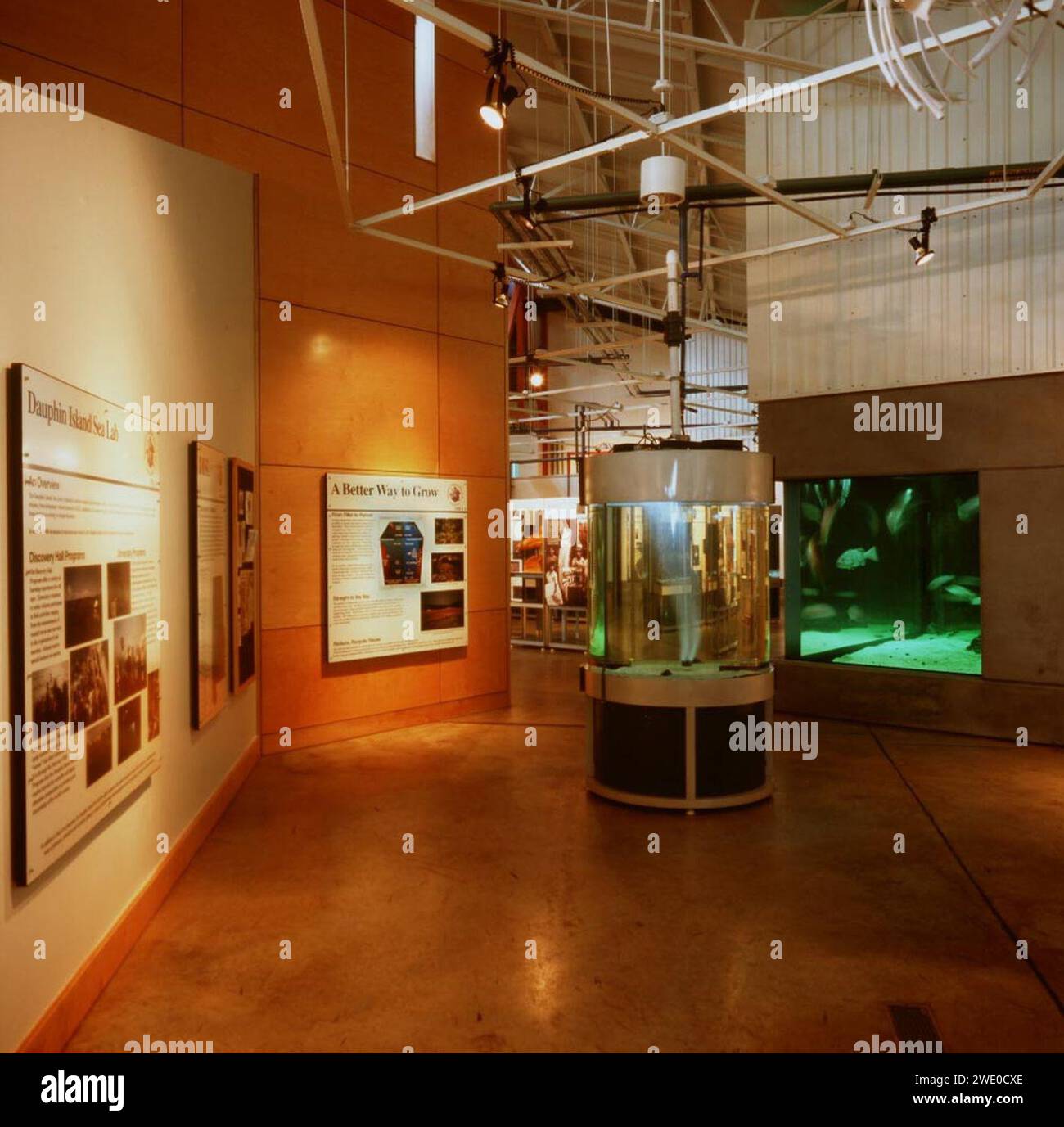 Alabama's Coastal Connection The Estuarium at Dauphin Island Sea Lab