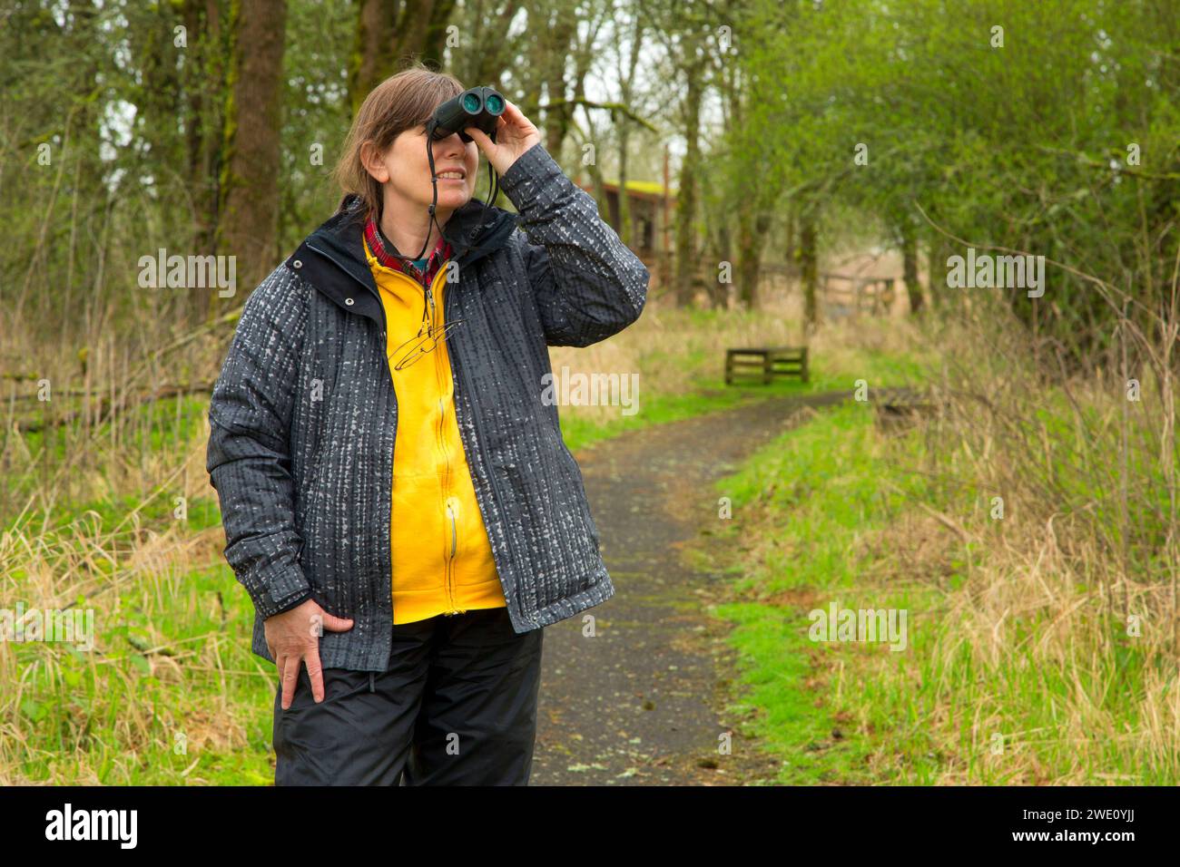 Birding ridgefield national wildlife refuge washington stock photo