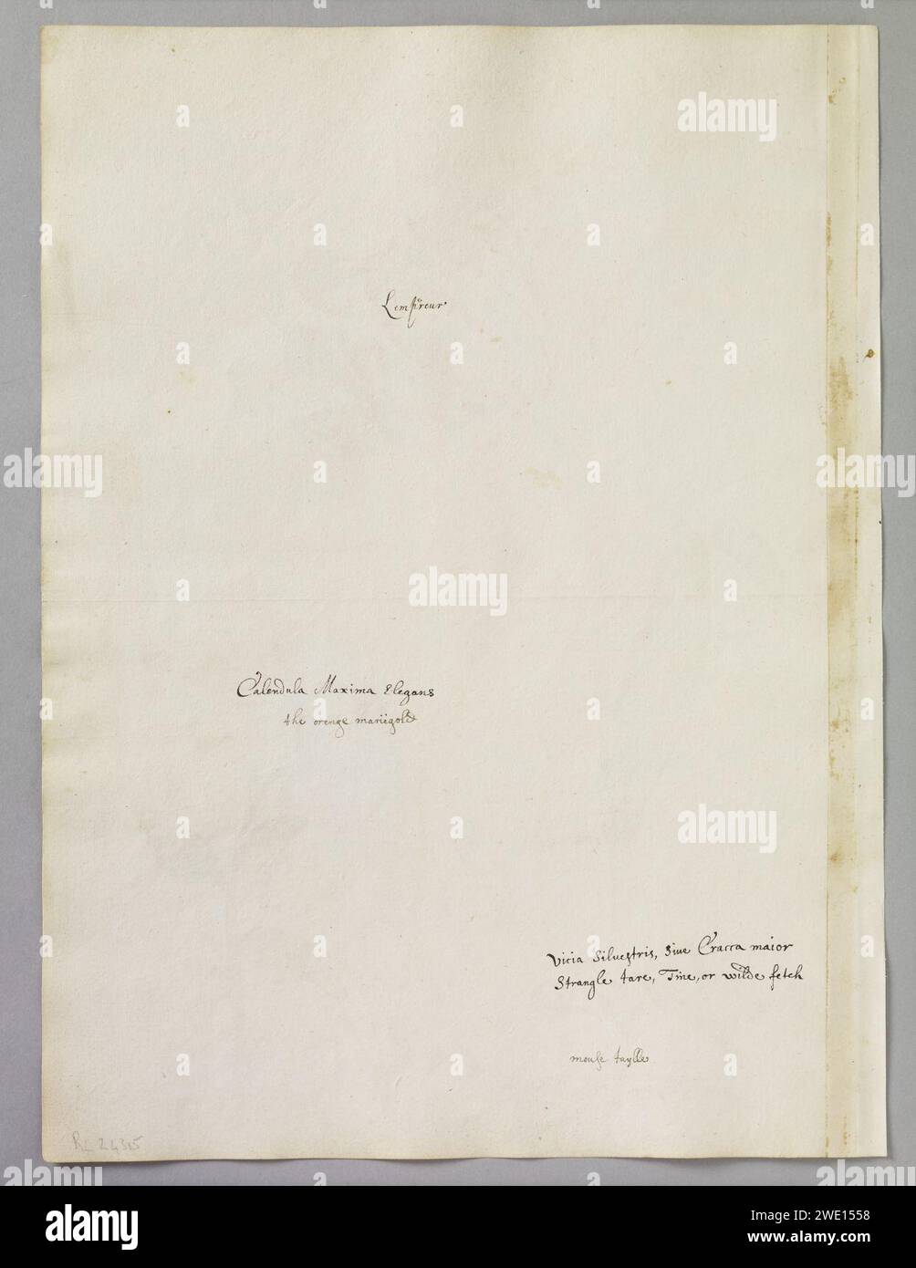 Alexander Marshal ( Stock Photo