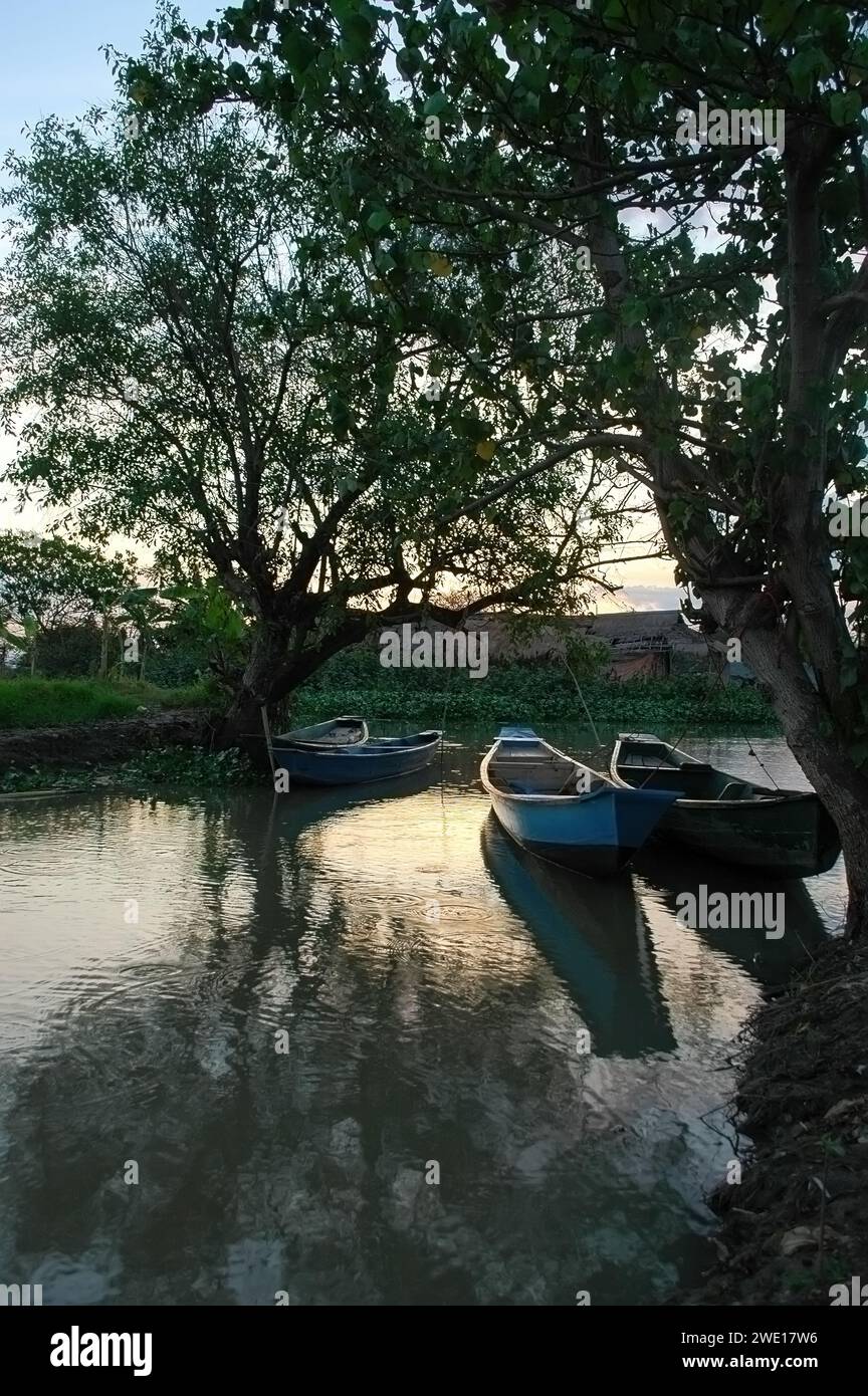 Tranquility by the River: Two Empty Fishing Boat Docked Under a Tree in ...