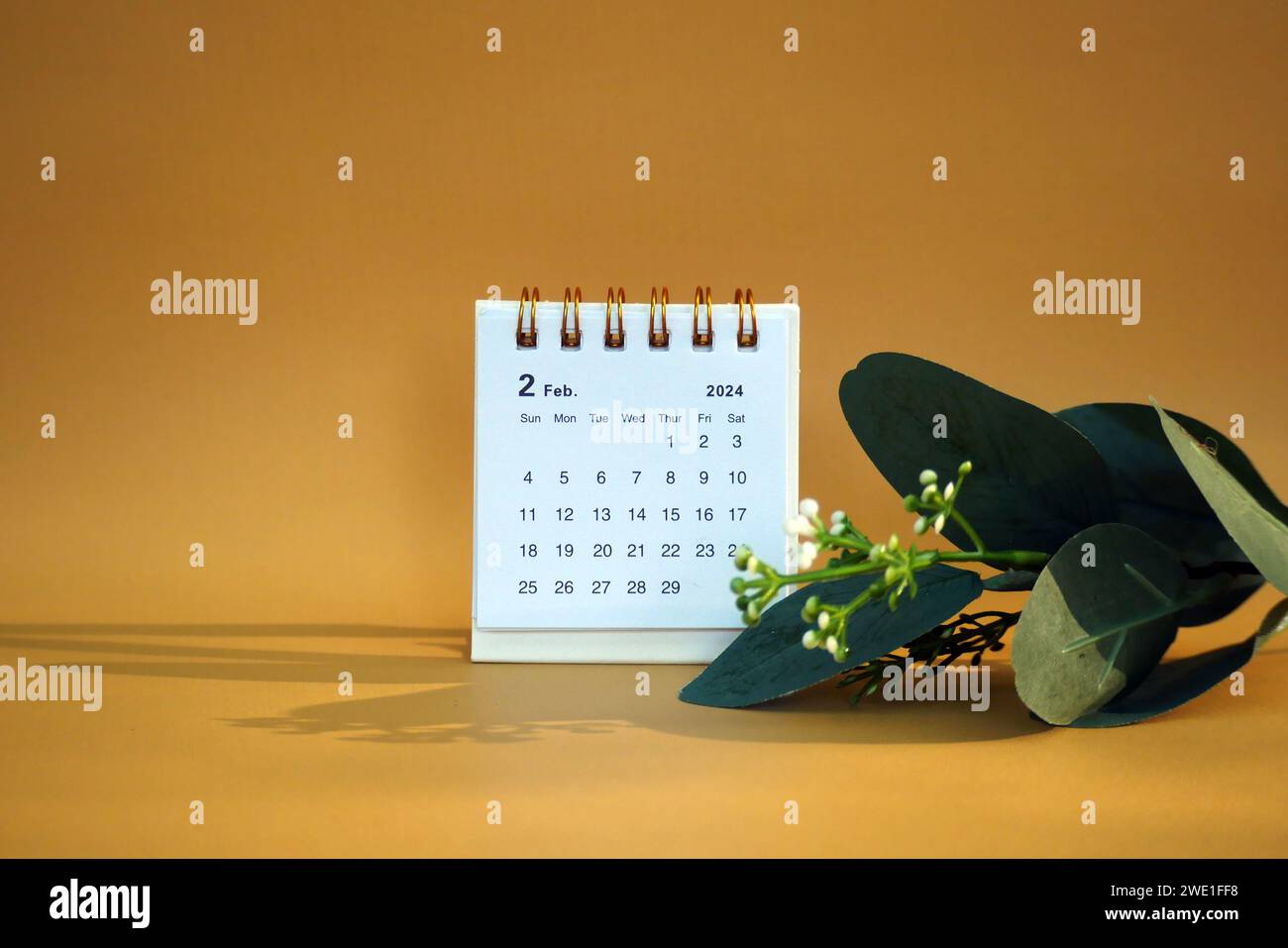 Desk calendar for February 2024 on a gold background copy space Stock ...