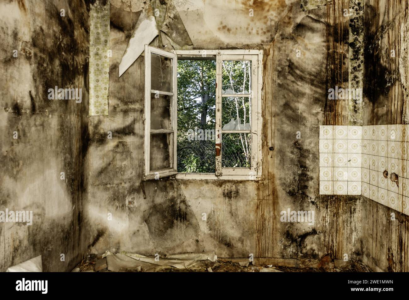 Interior of a dirty and dilapidated room in an abandoned house Stock Photo