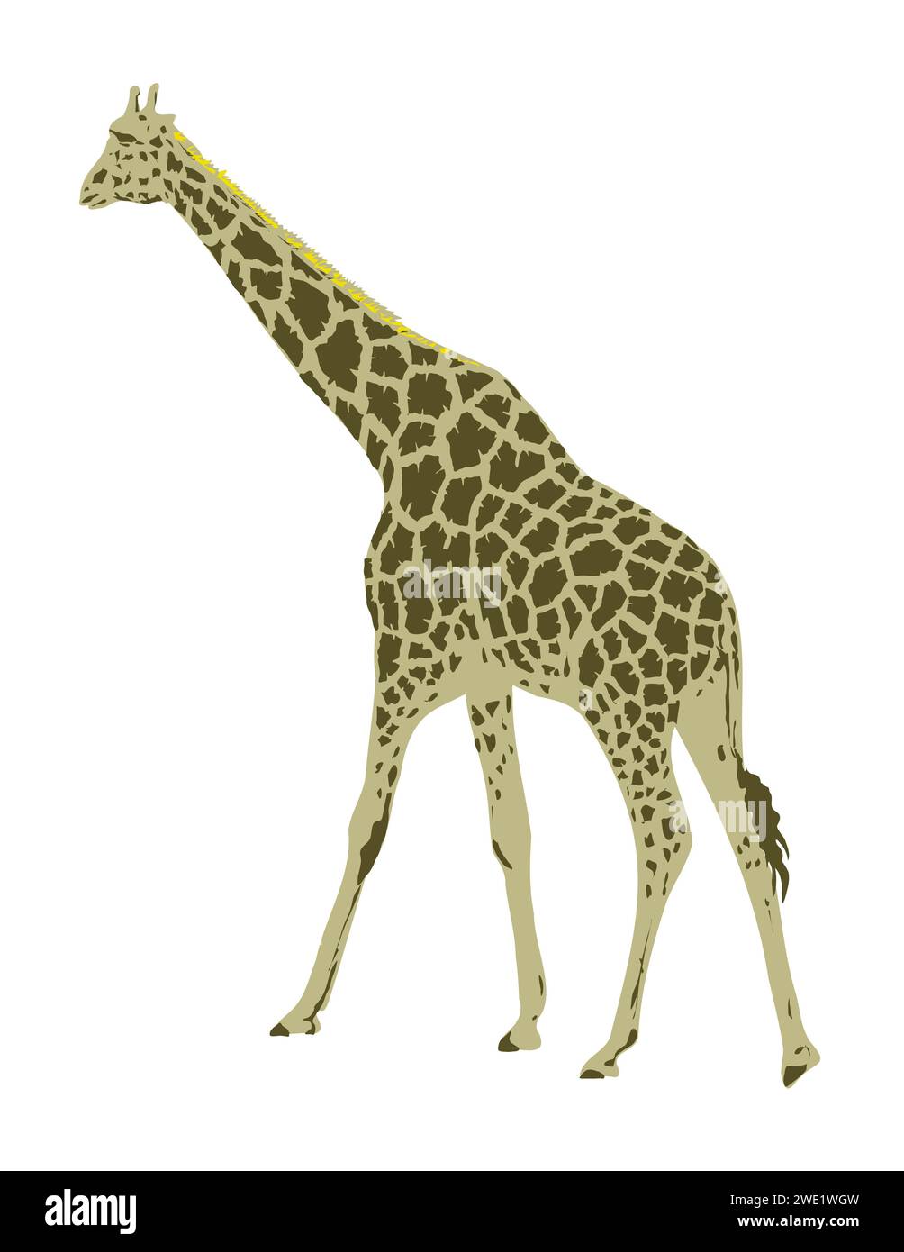 Art Deco or WPA poster of a giraffe or Giraffa camelopardalis viewed from side rear done in works project administration style. Stock Photo