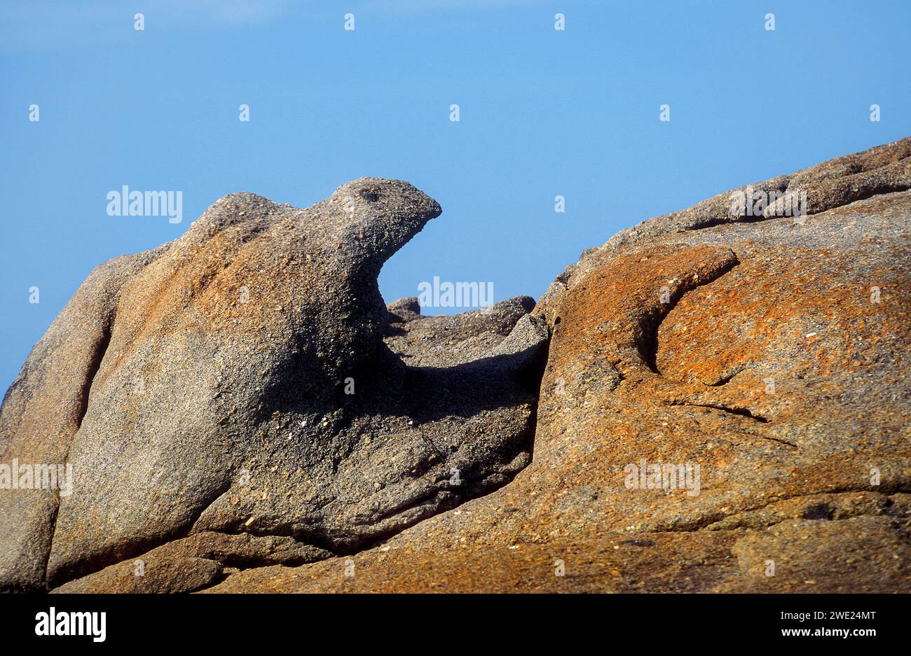 Stone formation, Natural rock art, Tasmania, Australia Stock Photo - Alamy