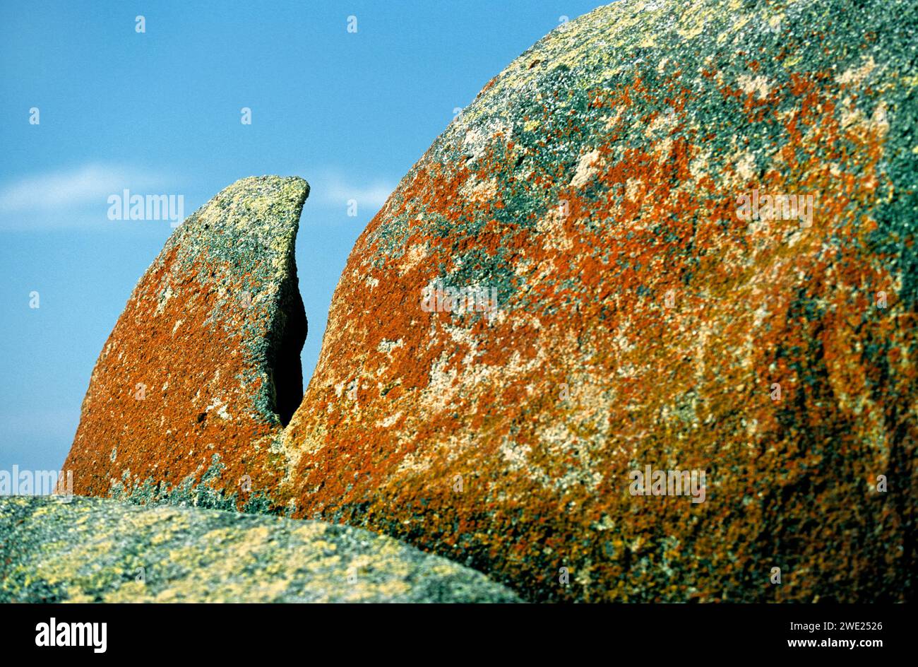 Stone formation, Natural rock art, Tasmania, Australia Stock Photo - Alamy