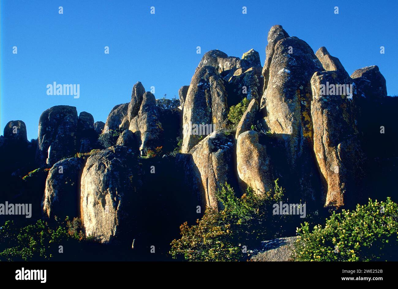Stone formation, Natural rock art, Tasmania, Australia Stock Photo - Alamy