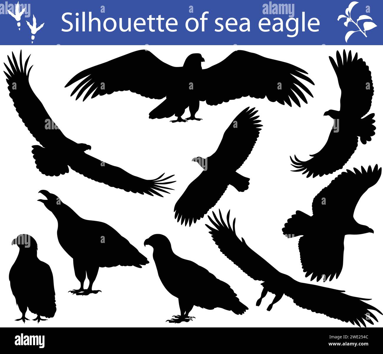 Collection of silhouettes of sea eagles Stock Vector