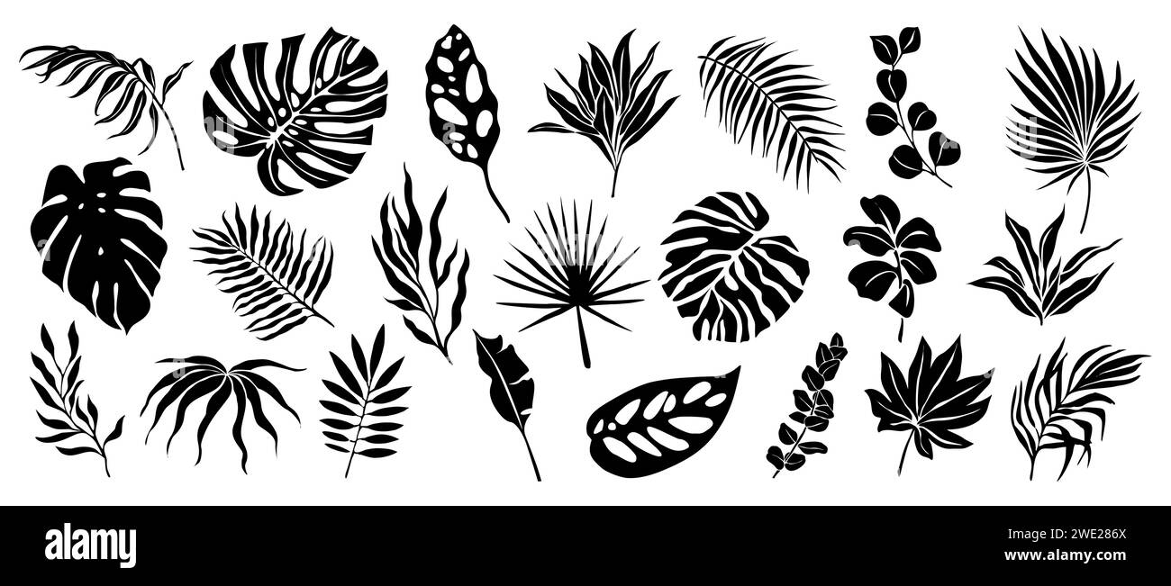 Set of black silhouettes of tropical leaves vector Stock Vector Image ...