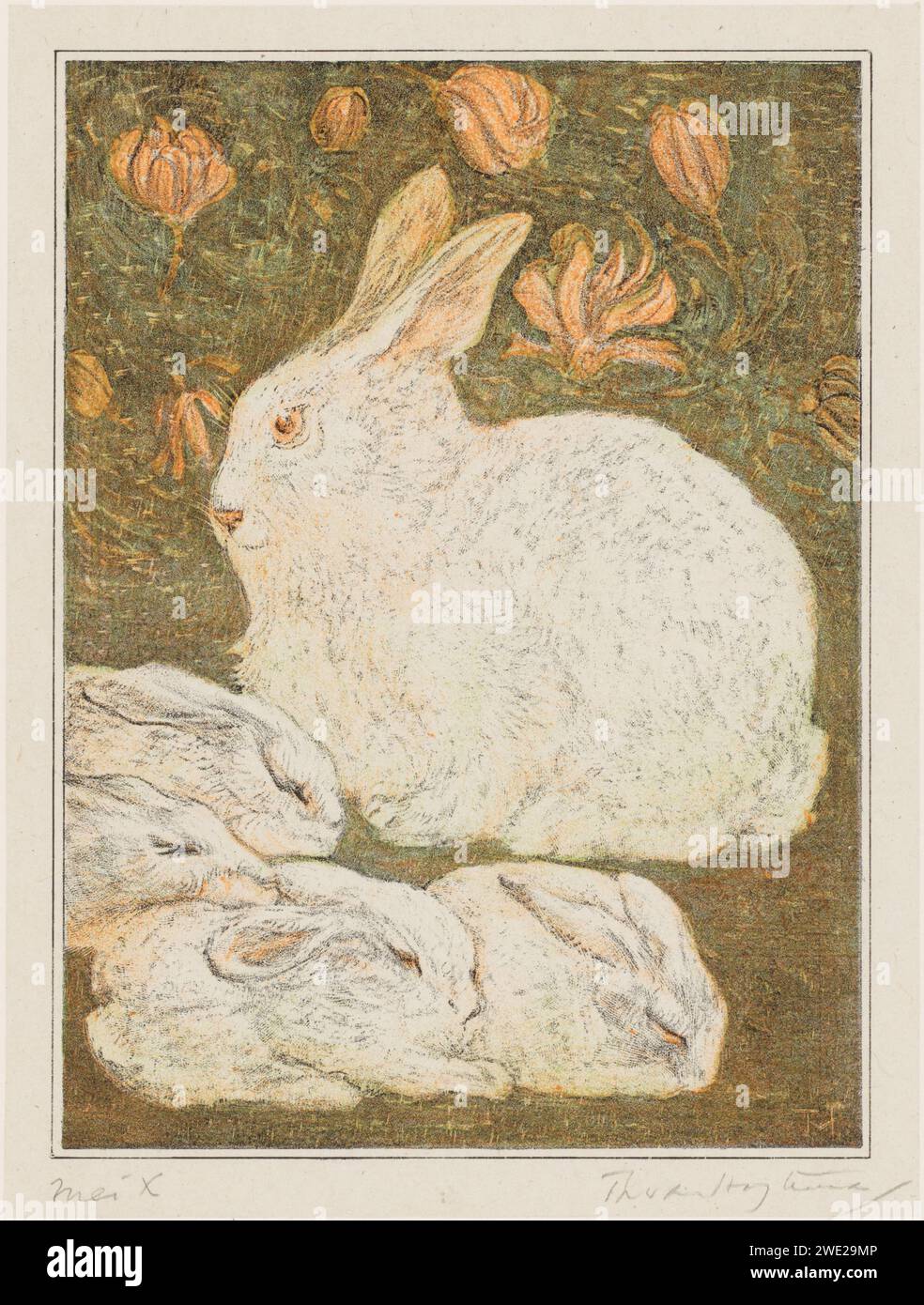 Rodenjmts Rabbit Rabbits, Theo van Hoytema, 1878 - 1910 print White rabbit with four ...