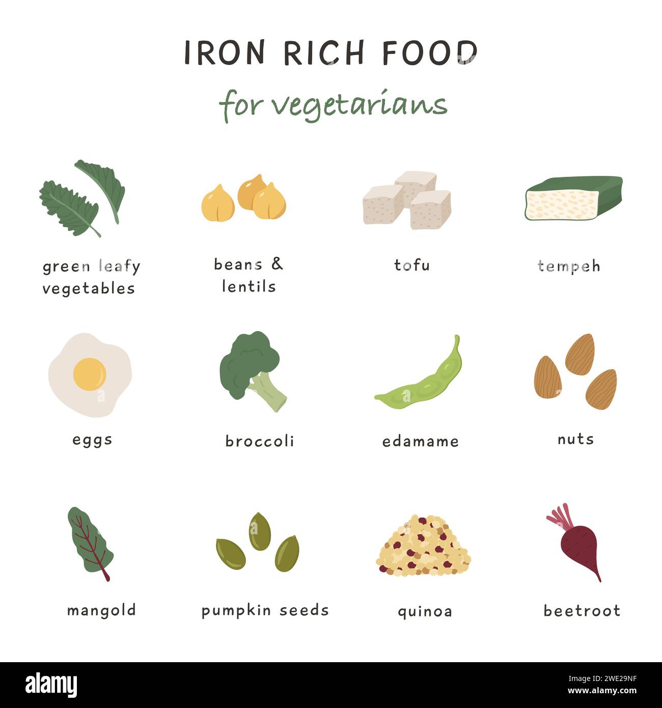 Iron rich food sources for vegetarian diet. Collection of food containing Iron. Soy product, chocolate, kale, lentils and nuts. Dietetic organic nutri Stock Vector