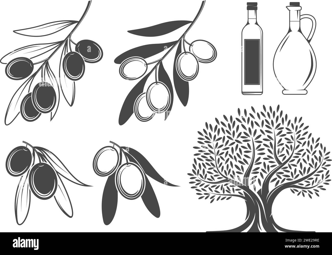 Olive branches, tree and oil Stock Vector Image & Art Alamy