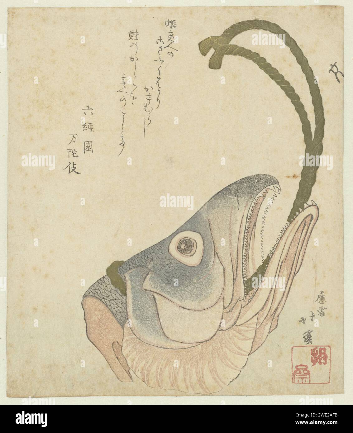 Head of a Salmon, Totoya Hokkei, c. 1815 - c. 1820 print The head of a salmon where a gold -colored rope is recommended. This was hung in homes for protection against evil. With one poem. Japan paper color woodcut bony fishes: salmon Stock Photo