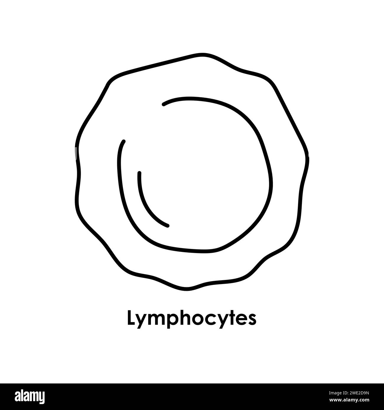 Lymphocytes color icon. White blood cells in the blood vessels. Vector isolated illustration. Stock Vector