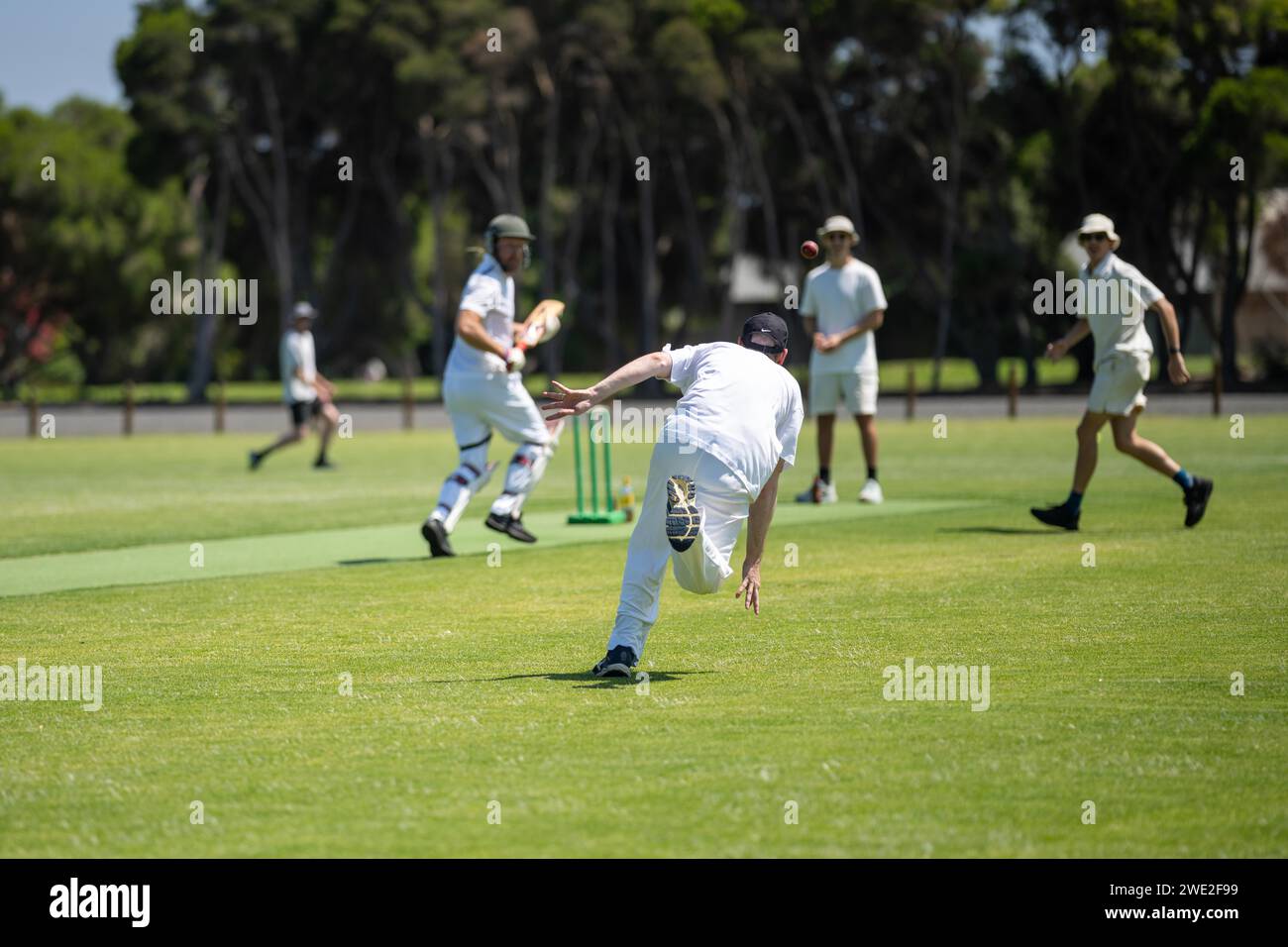 a local cricket match being played on a green cricket oval in summer in australia Stock Photo