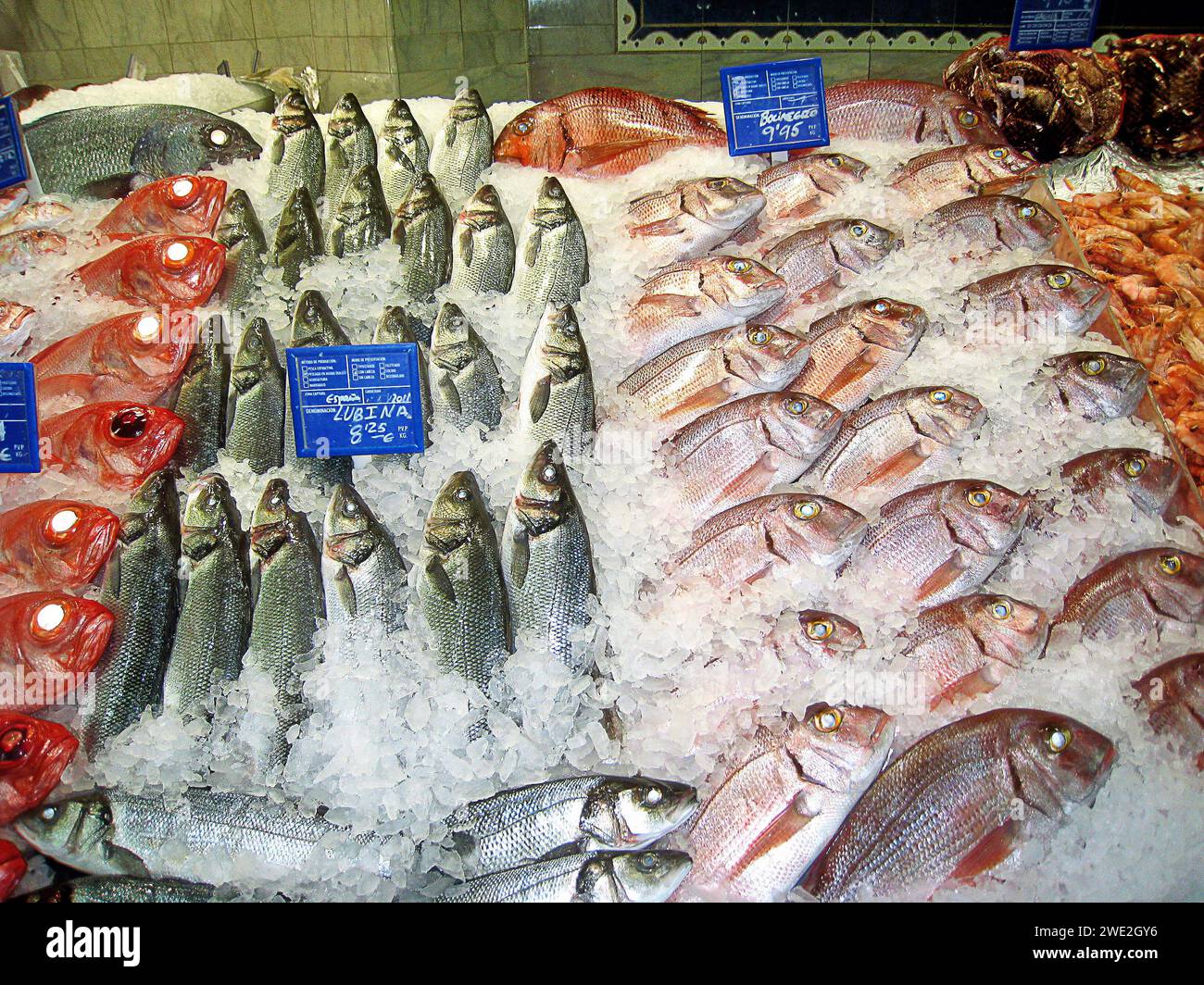 Fischverkauf im Spanischen Supermarkt auf Fuerteventura - gesehen am 22.01.2011. *** Fish sale in Spanish supermarket on Fuerteventura seen on 22 01 2011 Stock Photo
