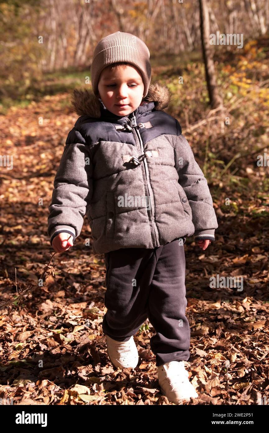 Little toddler walking in the forest Stock Photo