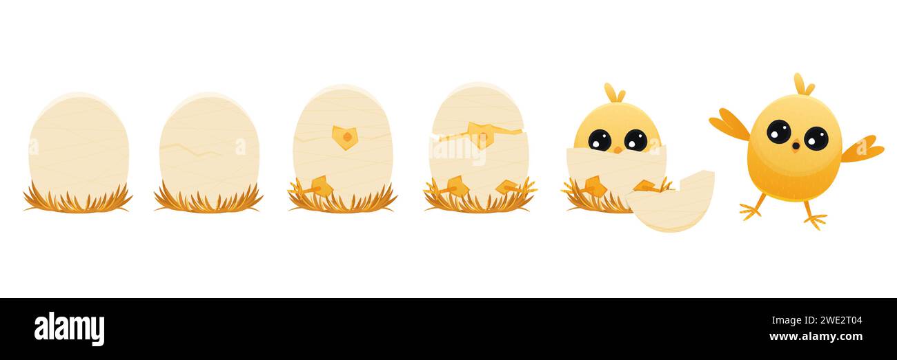 Chicken hatching stages. Cartoon winged chick emerging from egg, domestic farm animal with feathers, summer newborn chicks. Vector flat illustration Stock Vector