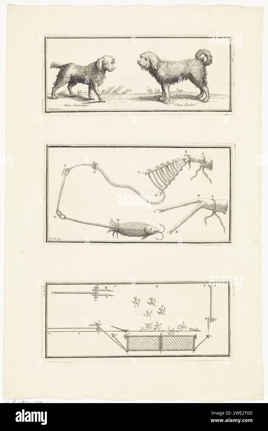 Dogs, bait and bird trap, Bernard Picart (workshop or), After Bernard Picart, 1730 print Three performances on a leaf. Upstairs: a normal dog and a porthole. Middle: Construction with a fish as a bait to catch birds. Below: a construction for a fall to catch birds. Amsterdam paper etching dog. bird hunting Stock Photo