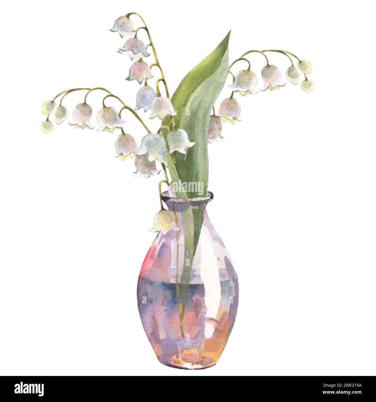 Watercolor illustration. Lilies of the valley. Bouquet in a glass vase ...