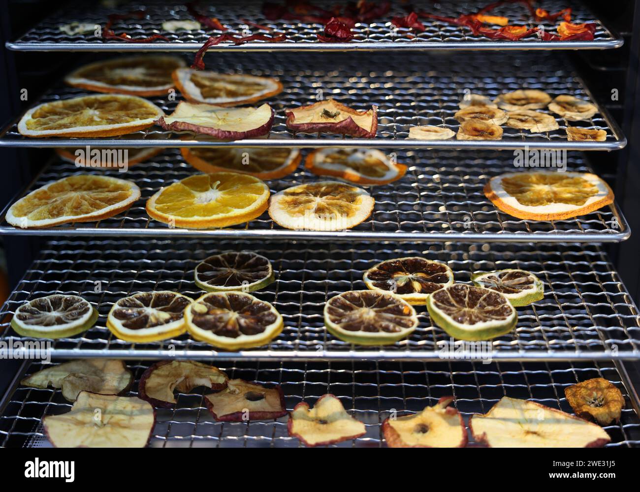 Drying Fruits The Food Dehydrator Machine - a device for drying vegetables and fruits ...