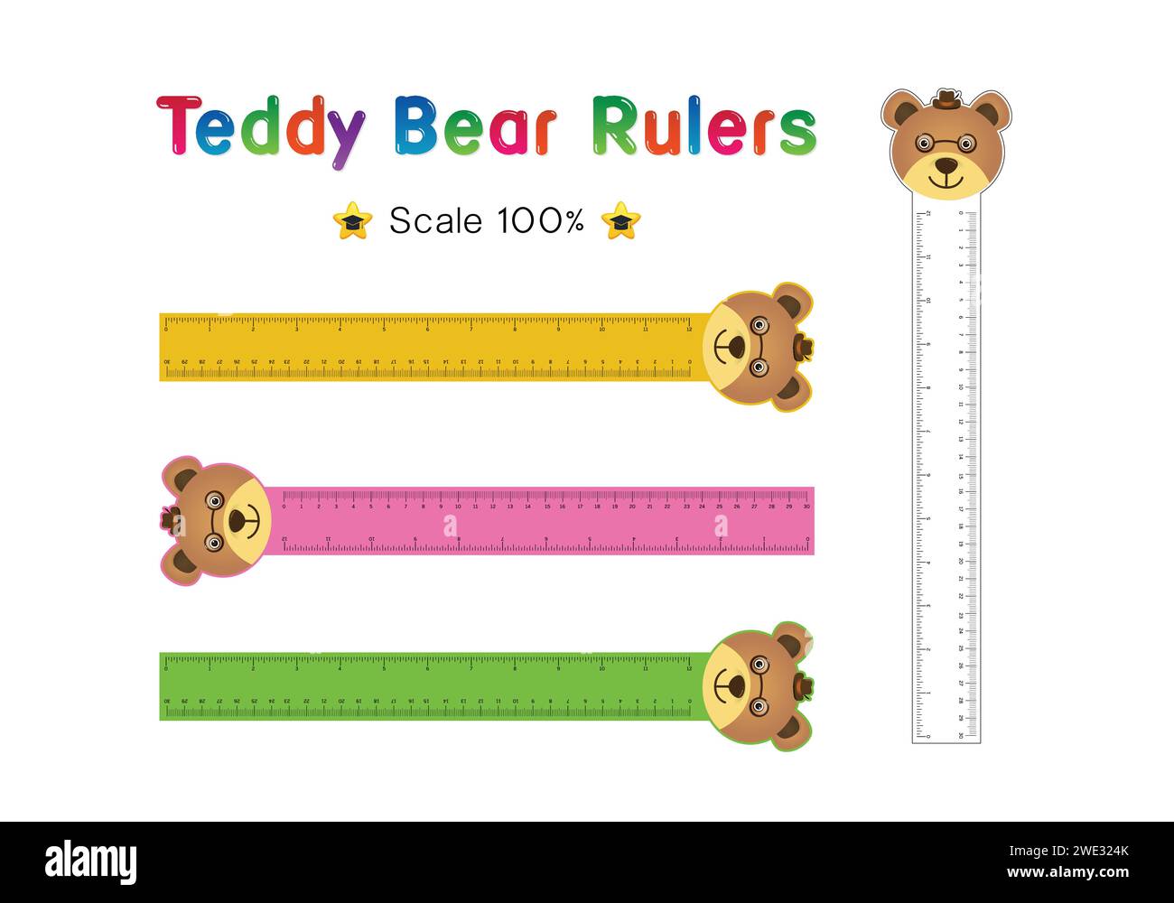 Teddy bear Head of Rulers Inch and metric rulers. Scale for a ruler in inches and centimeters. Centimeters and inches measuring scale cm metrics indic Stock Vector