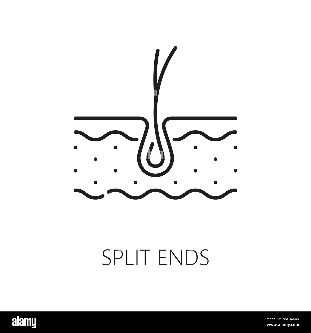 Hair care, split ends treatment thin line icon. Haircare cosmetology ...